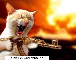 Good Is Player of Muonline! - manilor......scz ka pun postul asta aicea....dar - Discutii libere despre orice